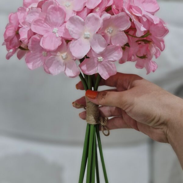 بسته هورتانزیا