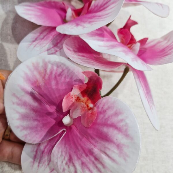 صورتی 8 600x600