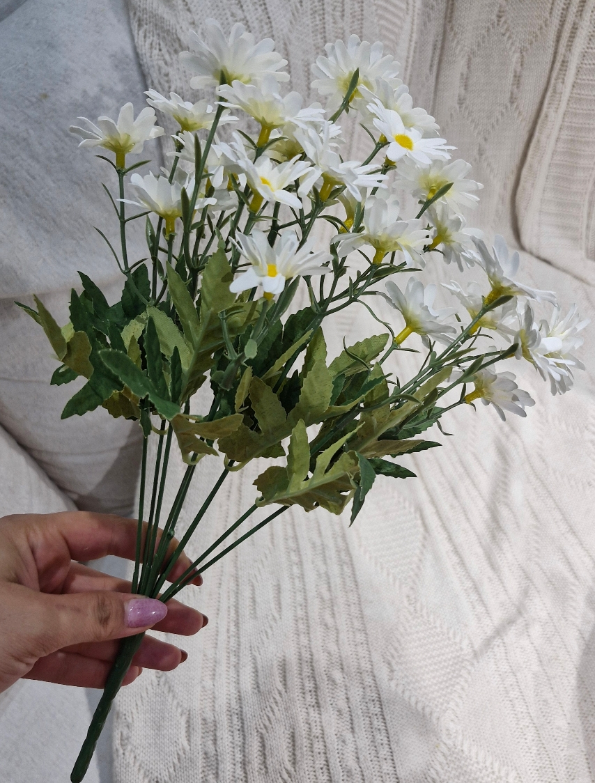 بوته بابونه 27 گل Image 3