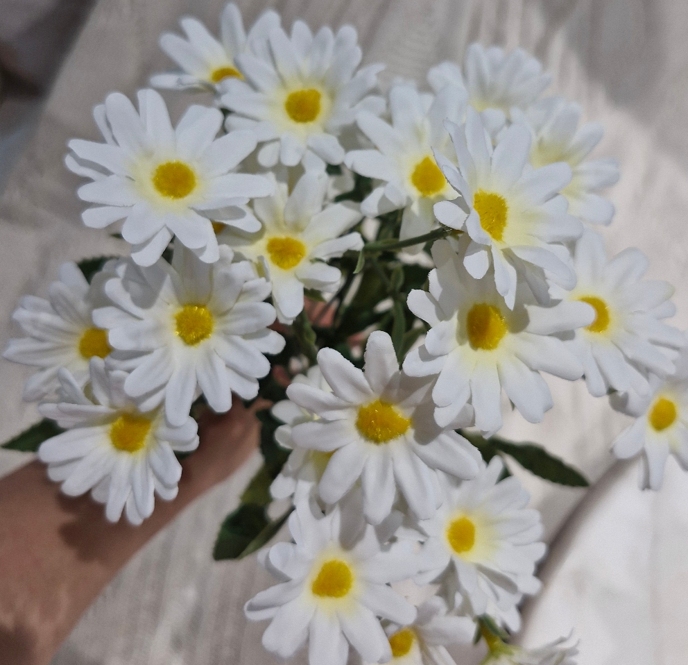 بوته بابونه 27 گل Image 4