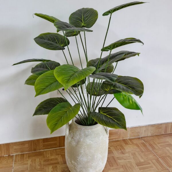 درختچه 24 برگ