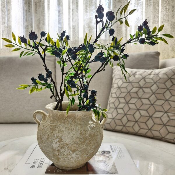 شاخه بلوبری