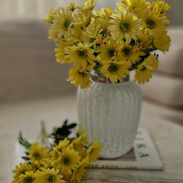 بوته مینا ۱۵ گل