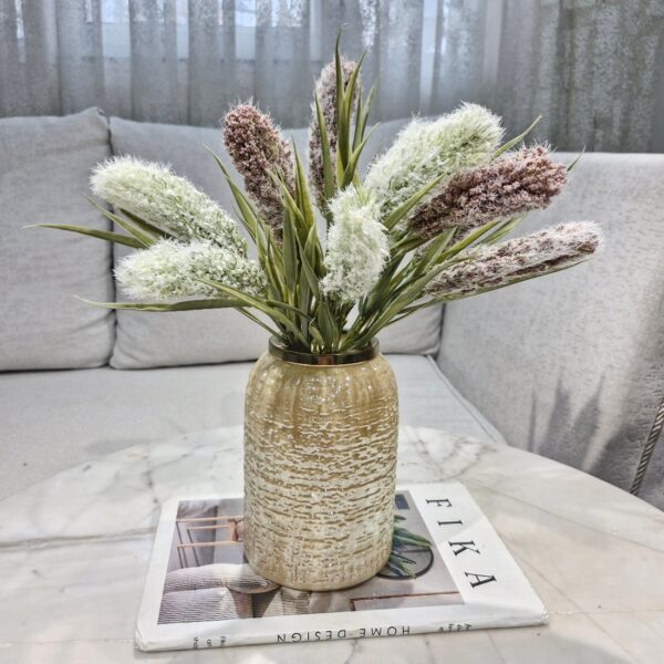 بوته دم روباهی