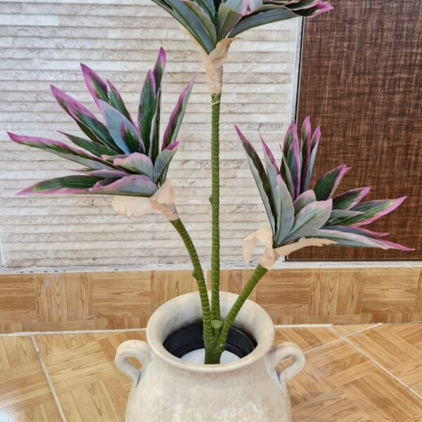 درختچه آناناسی