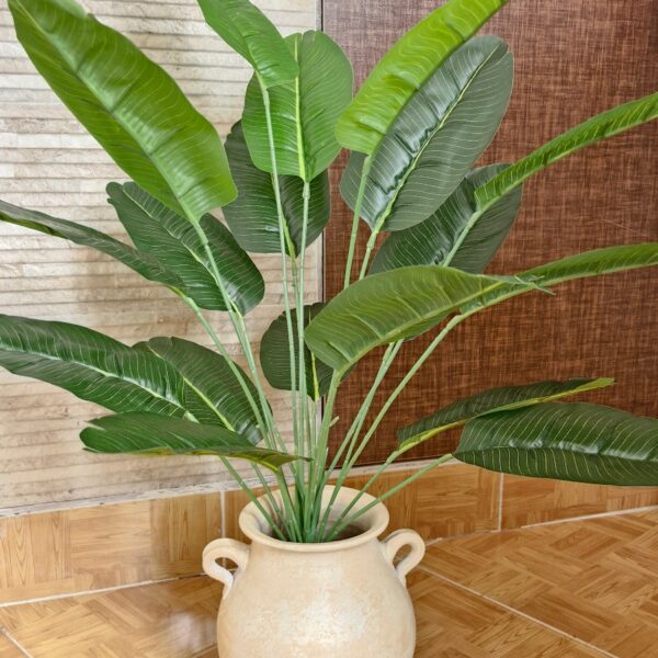 پرنده بهشتی کوچک