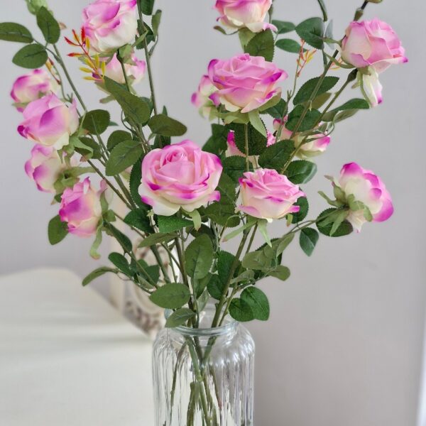 رز شاخه بلند