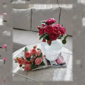 بوته رز پیونی(ژولیت)