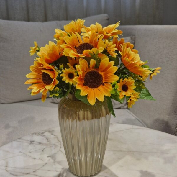 بوته آفتابگردان