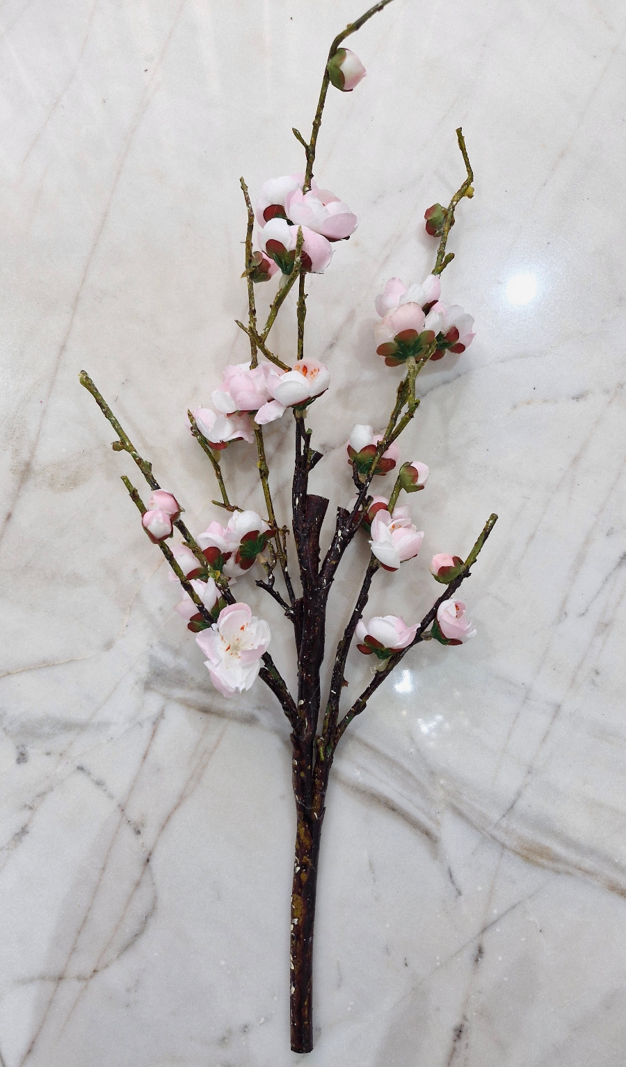 شاخه شکوفه ژاپنی کوتاه Image 7