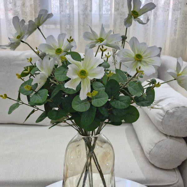 بوته اکالیپتوس لمسی