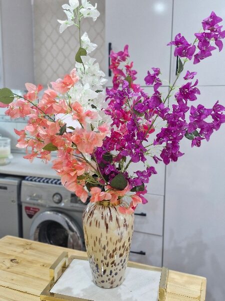 شکوفه کاغذی