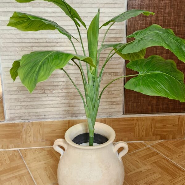 بابا آدم کوچک