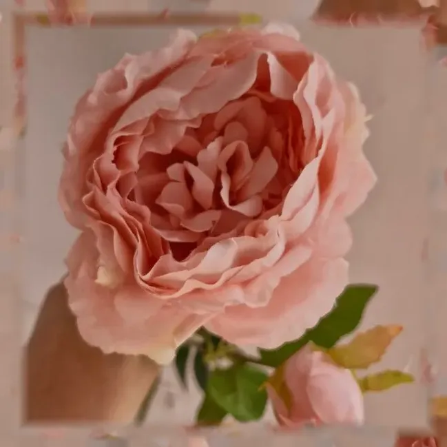 گل مصنوعی شاخه پیونی - Image 6