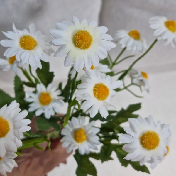 بابونه لمسی 15گل