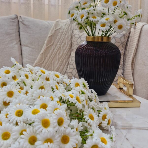 شاخه بابونه