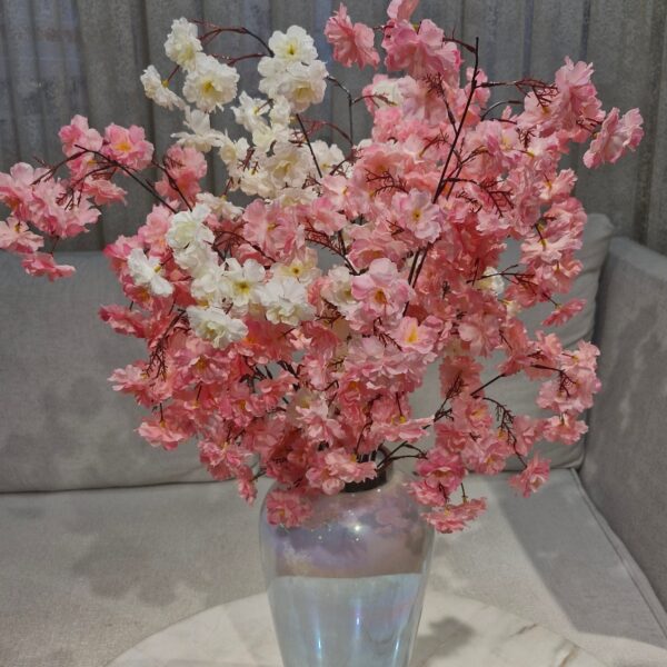 شکوفه گیلاس