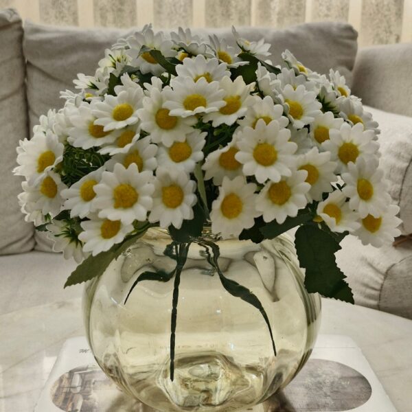 بابونه مخملی 25گل