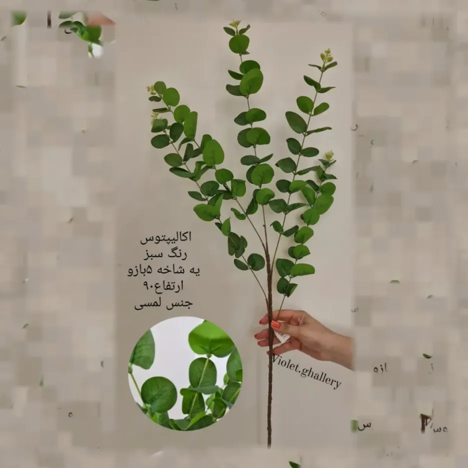 شاخه اکالیپتوس لمسی کد102 - Image 4