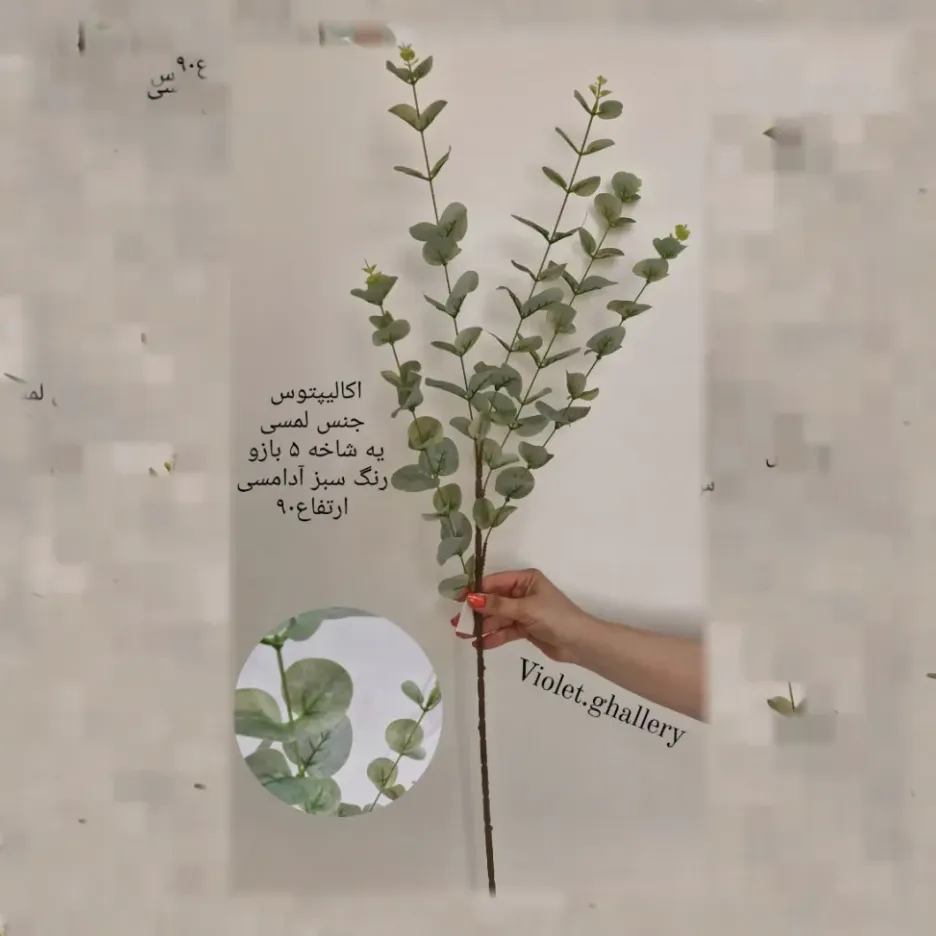 شاخه اکالیپتوس لمسی کد102 - Image 3