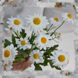 بابونه مصنوعی لمسی 15گل
