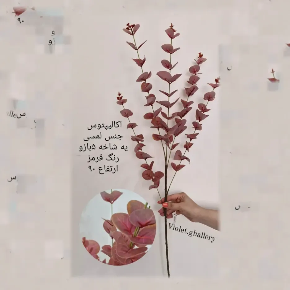 شاخه اکالیپتوس لمسی کد102 - Image 5