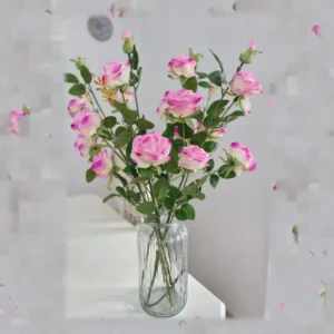 رز شاخه بلند